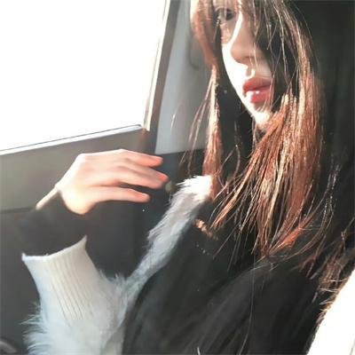 大贼与金丝猫